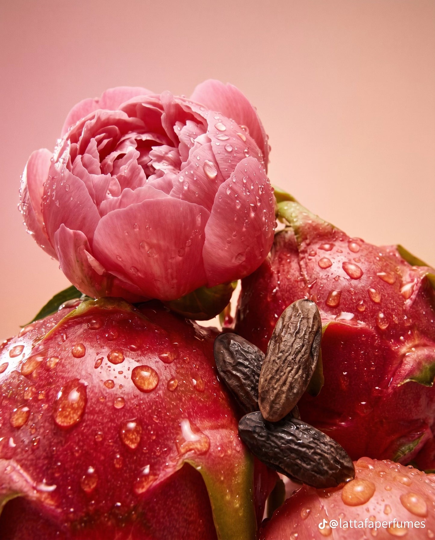Jouri Eau de Parfum 100ml – Pink Floral Elegance