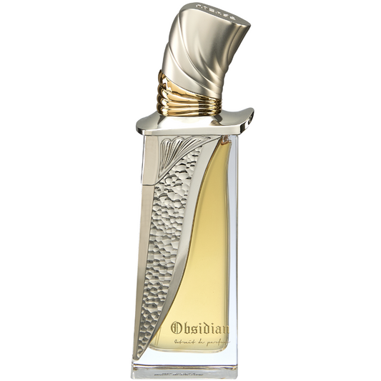 Obsidian Extrait de Parfum 100ml – French Avenue